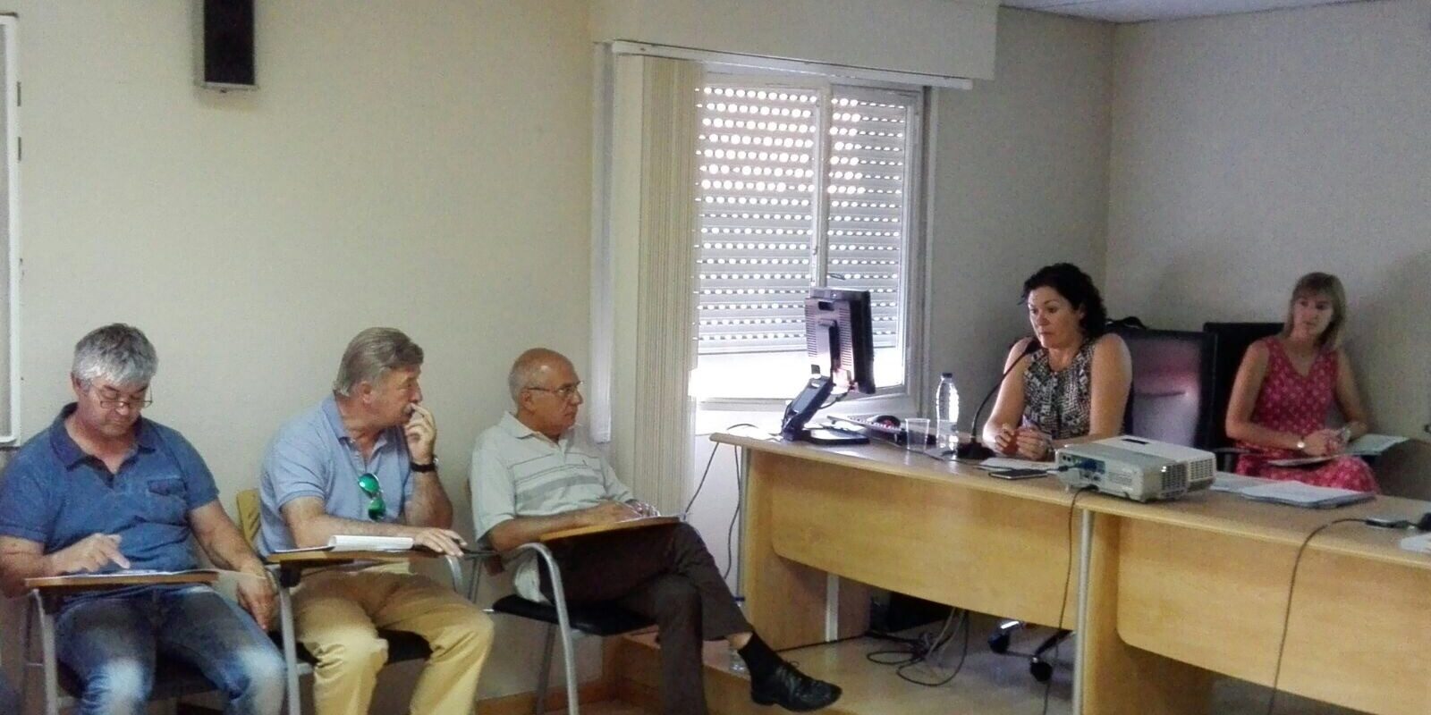 La directora general de sostenibilidad en la Comisión de Comarcas de la FAMCP