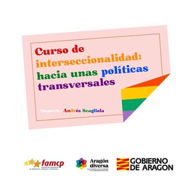 Curso de aproximación a la interseccionalidad hacia políticas transversales
