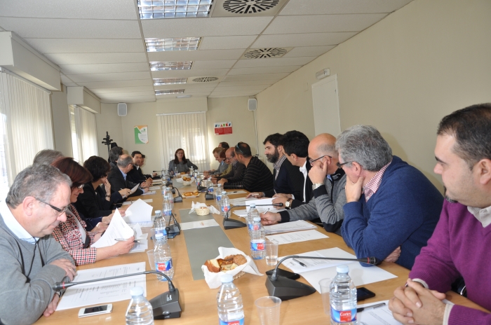 Imagen de la Comisión Ejecutiva con la presidenta de la FAMCP, Carmen Sánchez, dirigiendo la reunión.