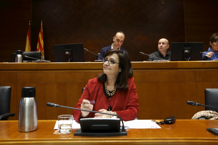 la-presidenta-de-la-famcp-comparecio-en-las-cortes-el-4-de-mayo La presidenta de la FAMCP compareció en las Cortes el 4 de mayo.