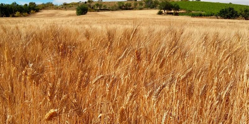 WhatsApp Image 2021-04-27 at 10.29.35