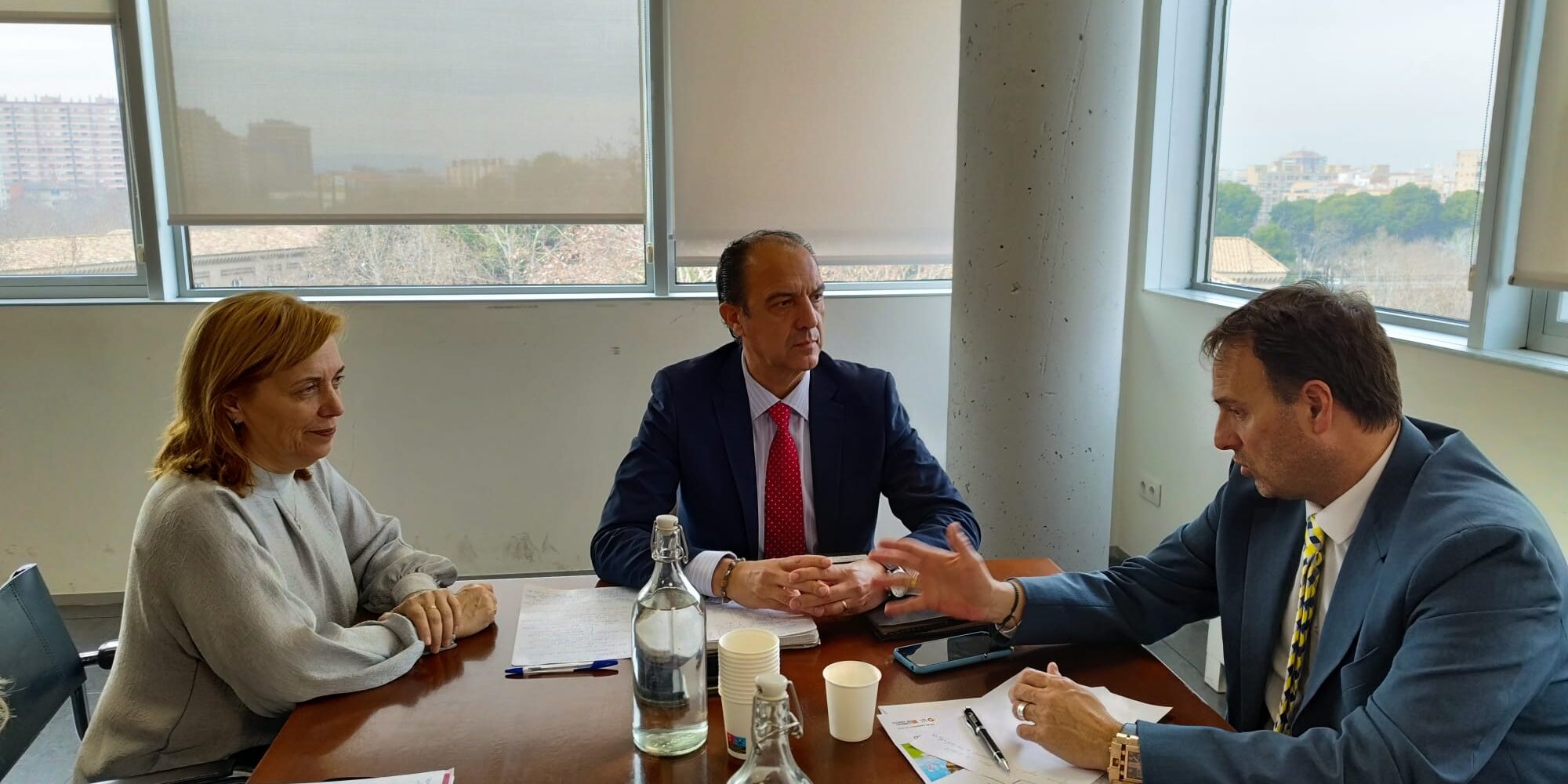 Sesión de trabajo Consejería Sanidad.