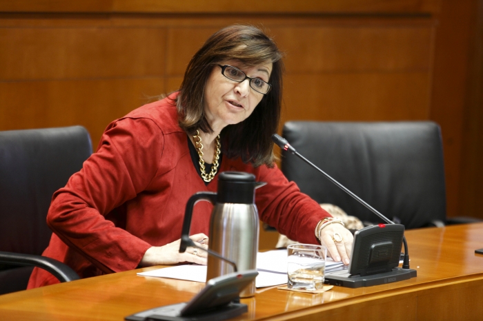Carmen Sánchez interviniendo ante la Comisión Institucional de las Cortes.