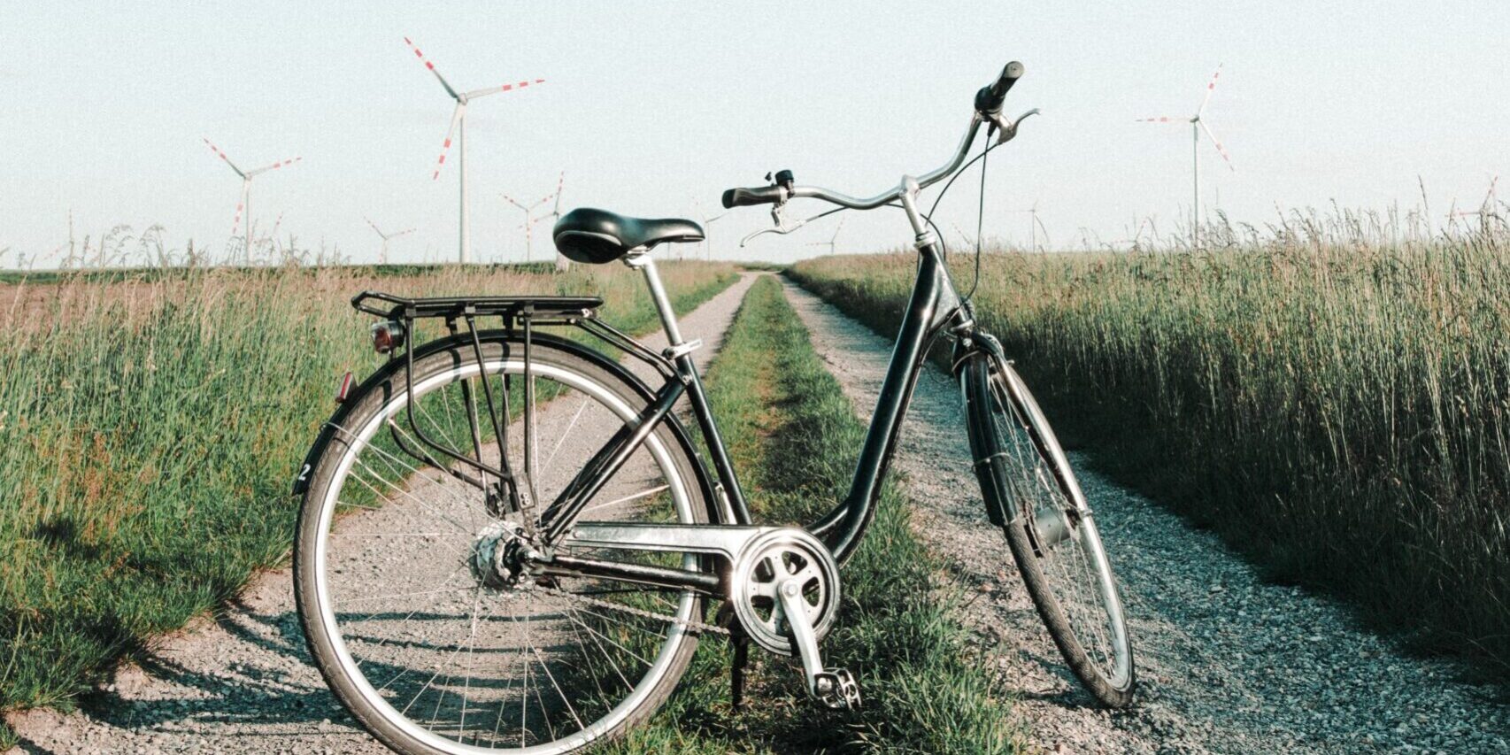 pexels-javon-swaby-3370153